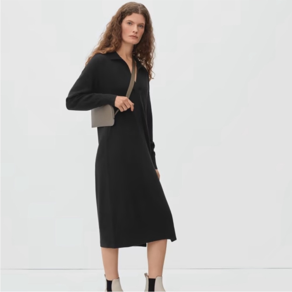 Everlane Cashmere Polo Dresss